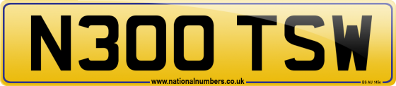 N300 TSW
