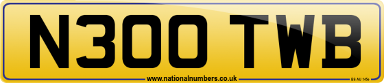 N300 TWB