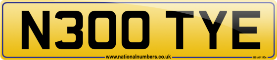 N300 TYE