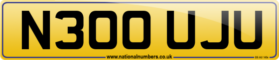 N300 UJU