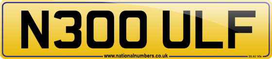 N300 ULF