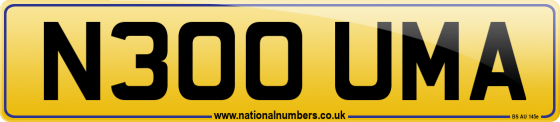 N300 UMA
