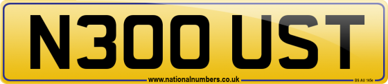 N300 UST