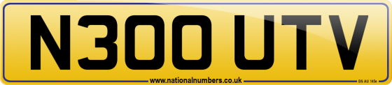 N300 UTV