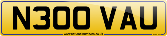 N300 VAU