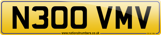 N300 VMV