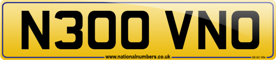 N300 VNO