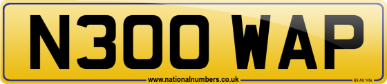 N300 WAP