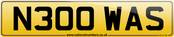 N300 WAS