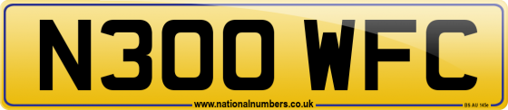 N300 WFC