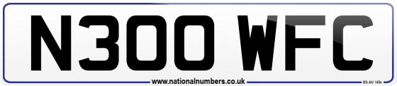 N300 WFC