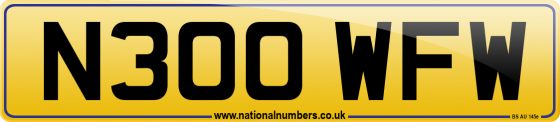 N300 WFW