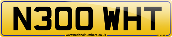 N300 WHT