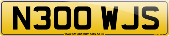 N300 WJS