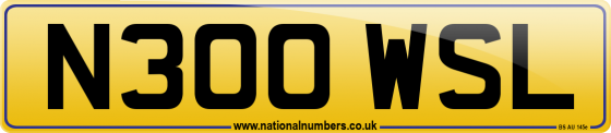 N300 WSL