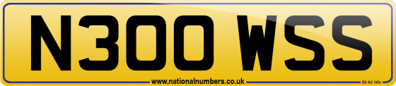 N300 WSS
