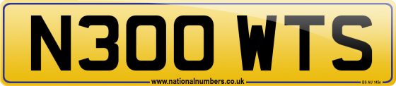 N300 WTS