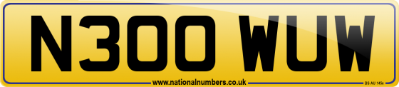 N300 WUW