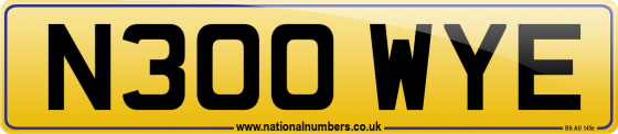 N300 WYE