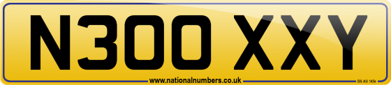 N300 XXY