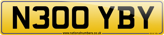 N300 YBY