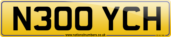 N300 YCH