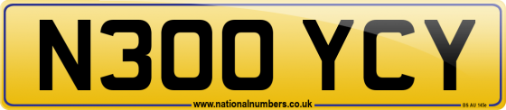 N300 YCY