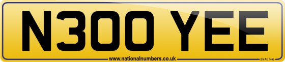 N300 YEE