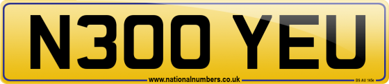 N300 YEU