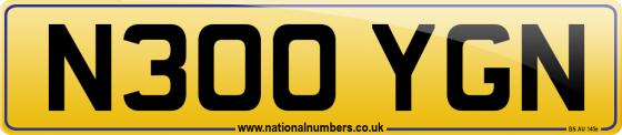N300 YGN