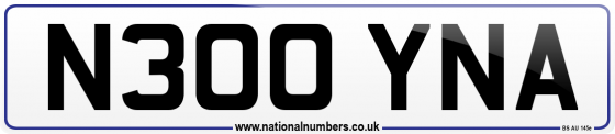 N300 YNA
