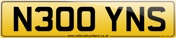 N300 YNS
