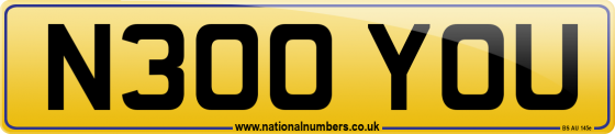N300 YOU