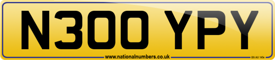 N300 YPY