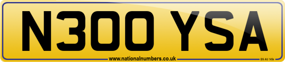 N300 YSA