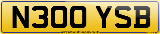 N300 YSB