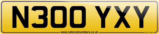 N300 YXY