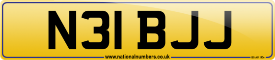 N31 BJJ