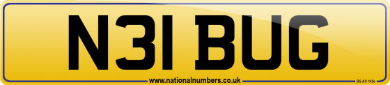 N31 BUG