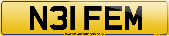 N31 FEM