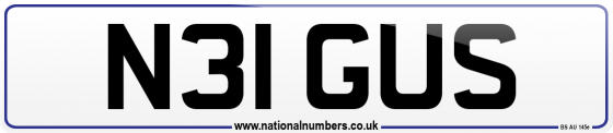 N31 GUS