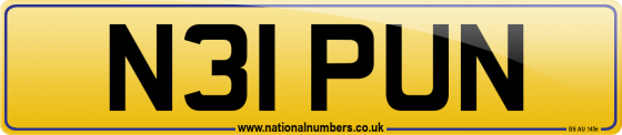 N31 PUN