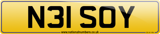 N31 SOY
