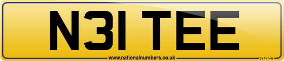 N31 TEE