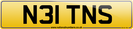 N31 TNS