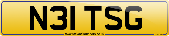 N31 TSG