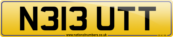 N313 UTT