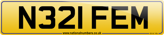 N321 FEM