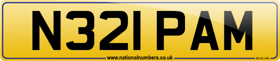 N321 PAM