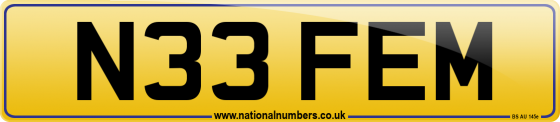 N33 FEM